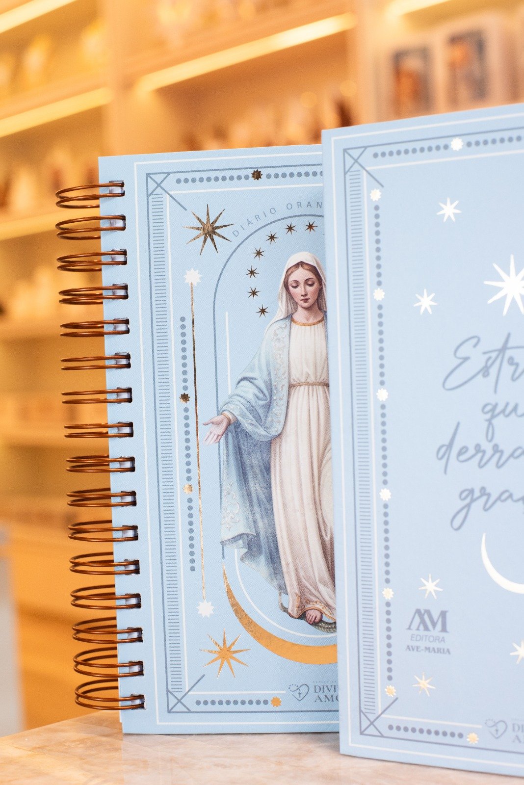 Diario Biblico 2027 - Capa Dura - Nossa Senhora das GRAÇAS - Imagem 2