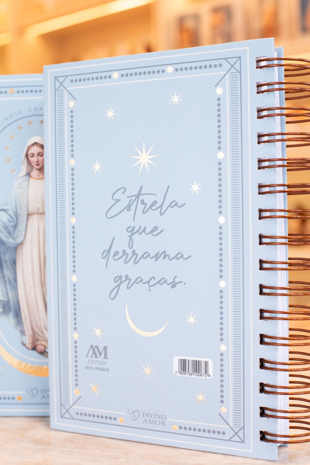 Diario Biblico 2027 - Capa Dura - Nossa Senhora das GRAÇAS - Imagem 3